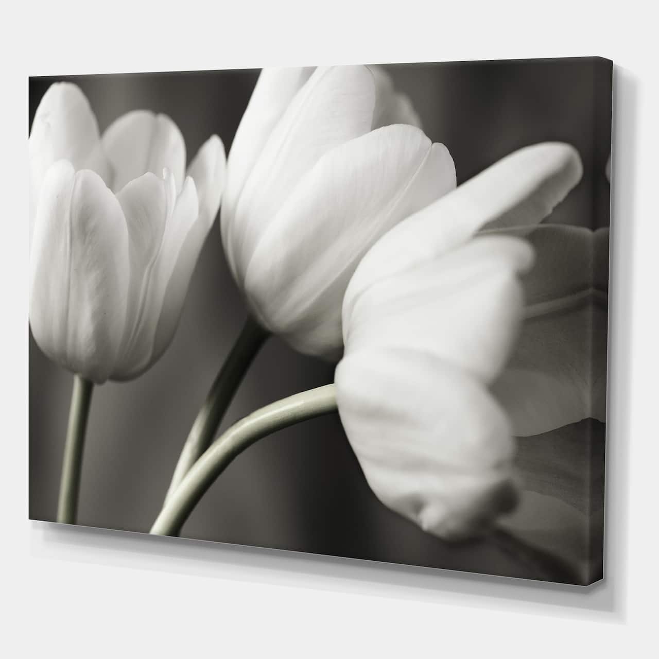 Designart - Row Of Bw Tulips - Cottage Canvas Artwork